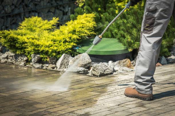 Best Residential Exterior Washing  in Eclectic, AL